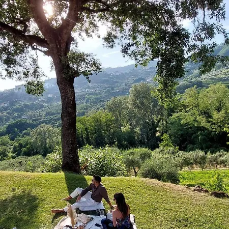 Azienda Agricola E Forestaria Alloggio per agriturismo Capannori