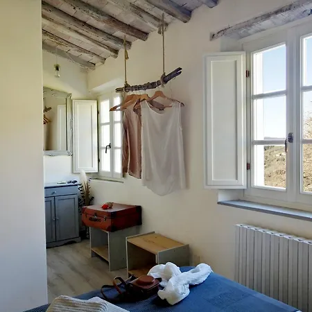Azienda Agricola E Forestaria Capannori